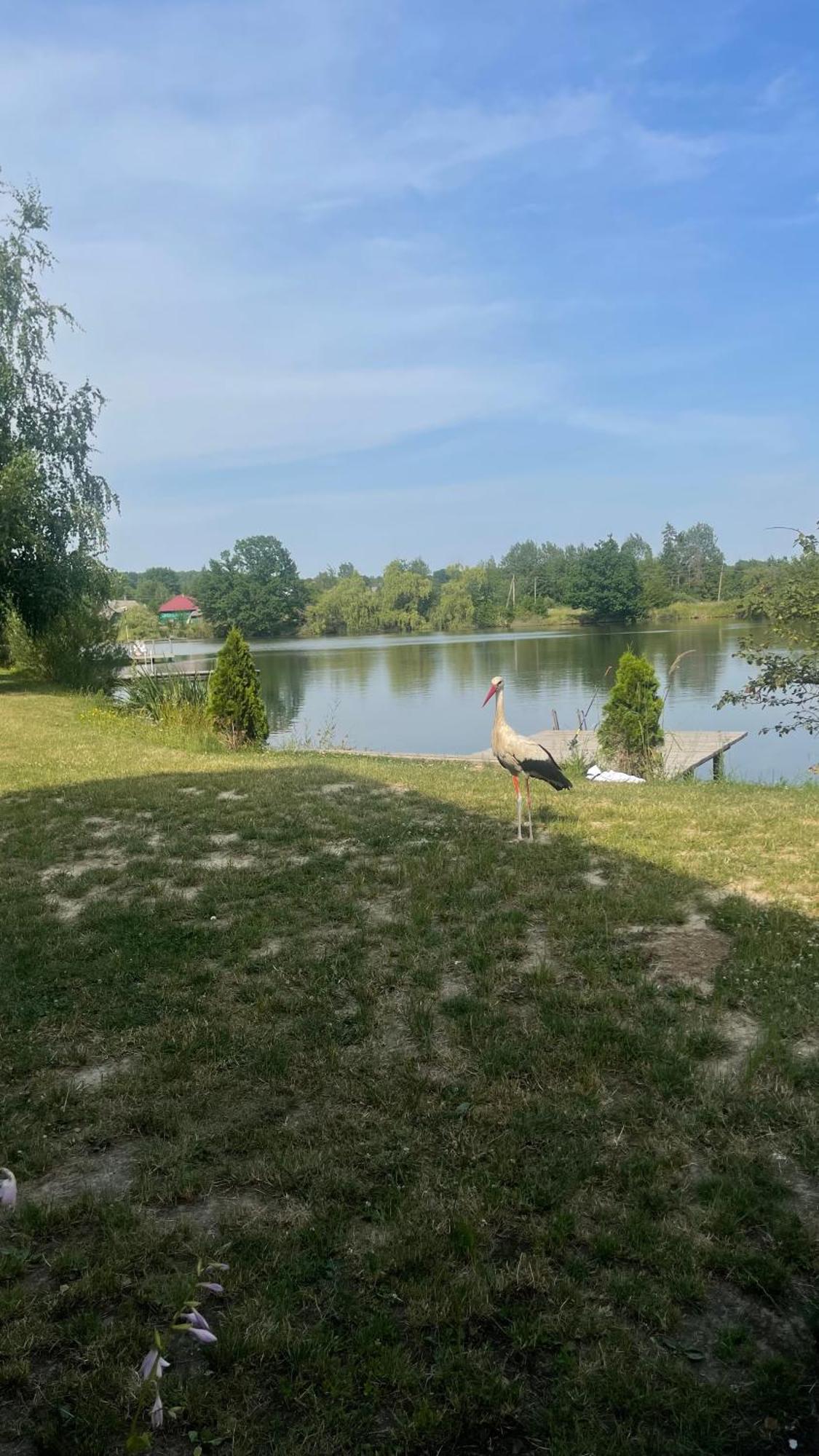 Перлина Буковини Lipovans Dış mekan fotoğraf